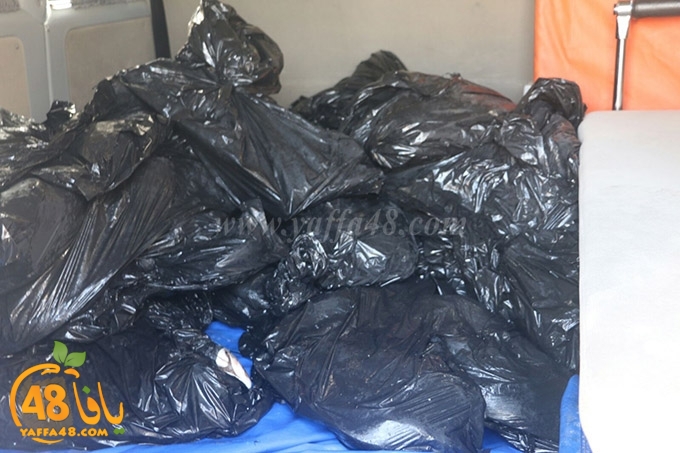 fish jam3iya yaffa ighata (1).jpg